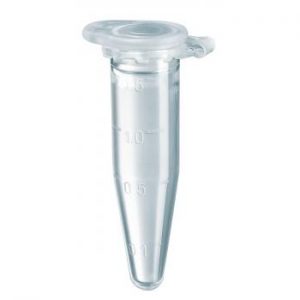 eppendorf tubes